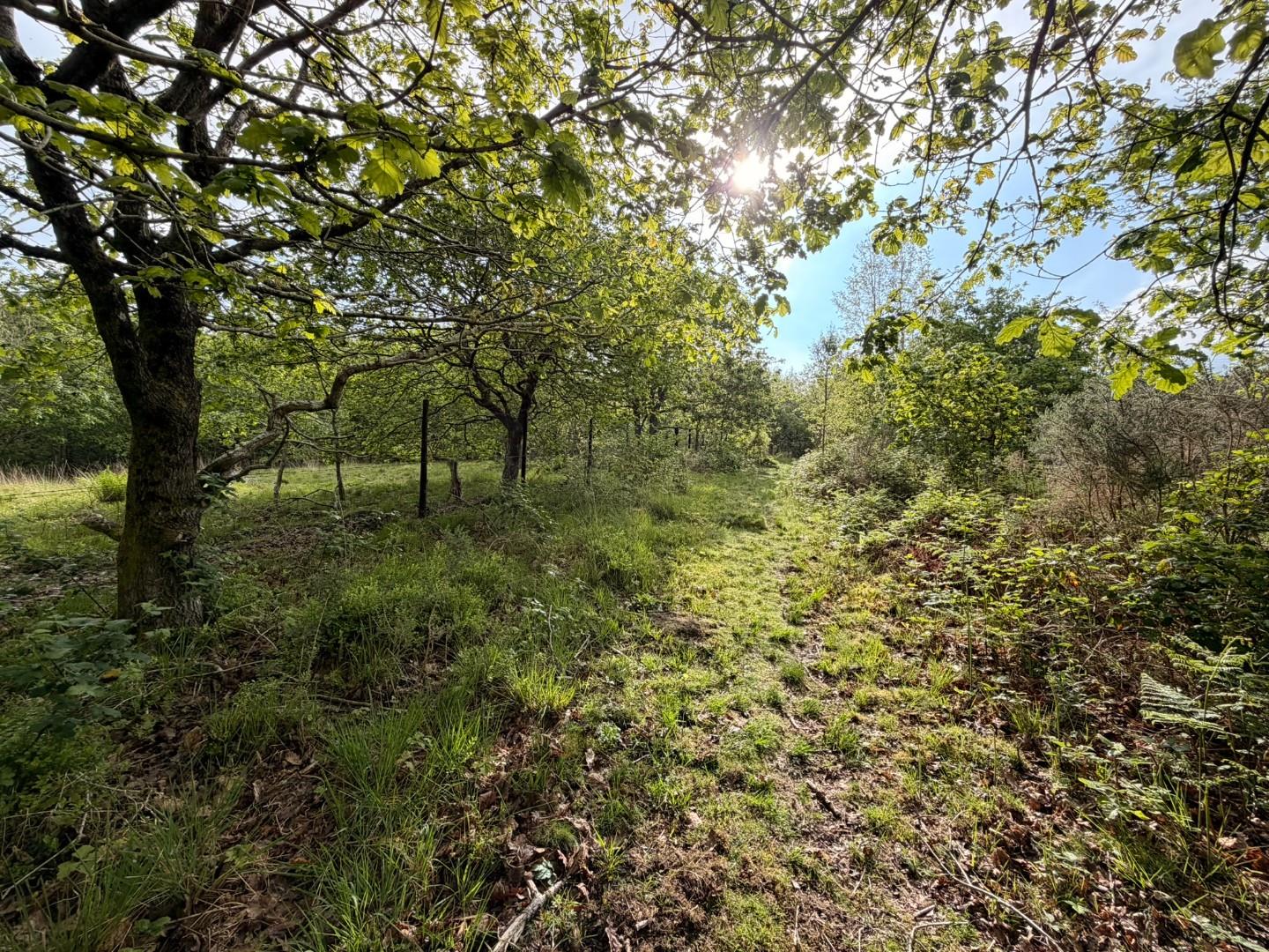 Approximately 5.706 acres adjacent to, Afan Valley Road, Cwmavon, Port Talbot SA12 9HA